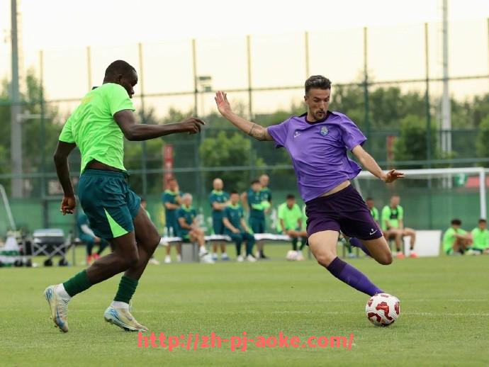 澳客足彩-拜仁慕尼黑作为德甲球队的视频集锦及精彩瞬间