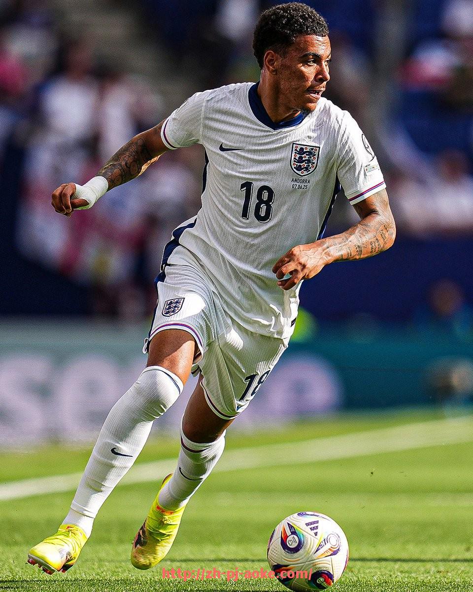 澳客足彩-法甲球队外援表现对整体球队实力的综合评估报告