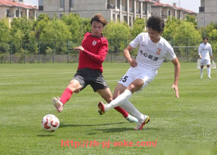 澳客足彩-世俱杯战术板解析,揭示球队战术布局与调整技巧