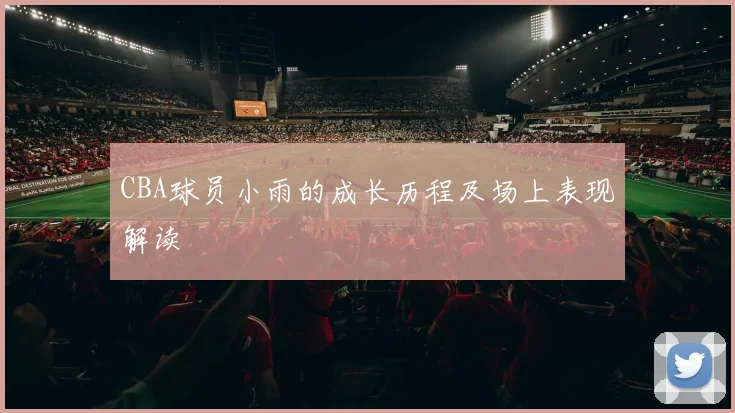 CBA球员小雨的成长历程及场上表现解读