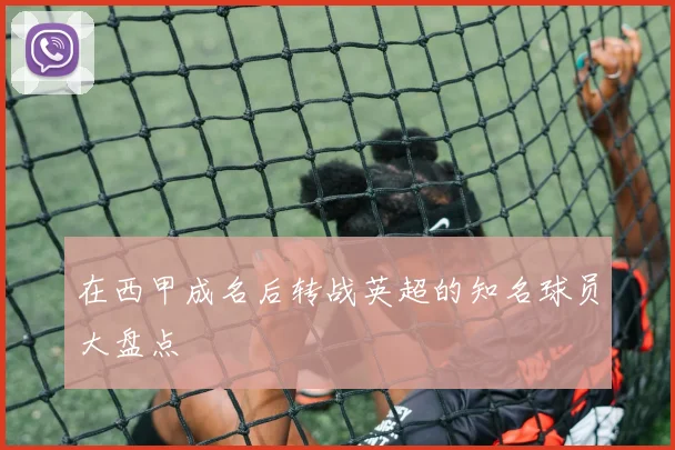 在西甲成名后转战英超的知名球员大盘点